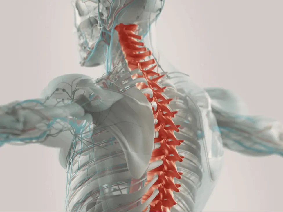 Colorado Spinal Cord Injury Lawyer