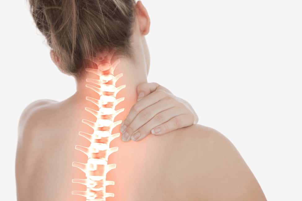 Spine